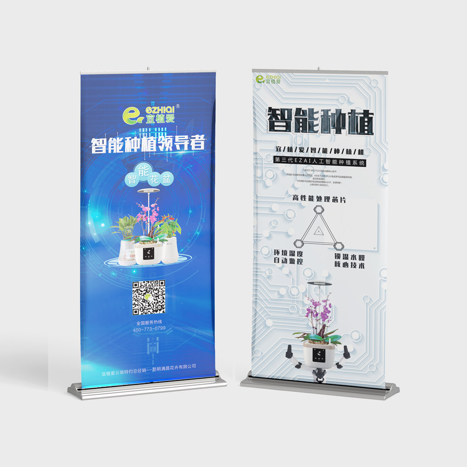 撒哈拉的水星