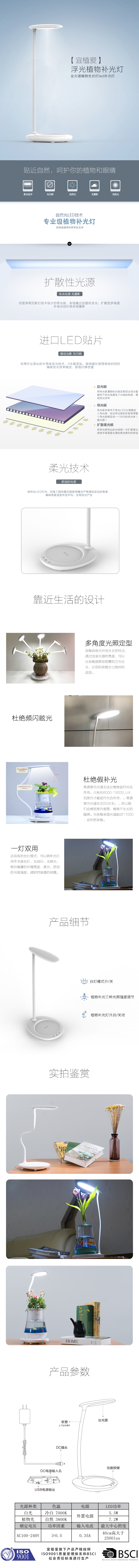 撒哈拉的水星