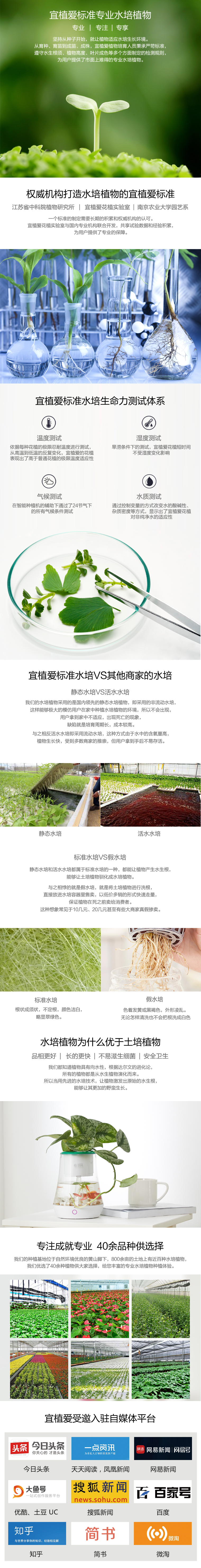 撒哈拉的水星